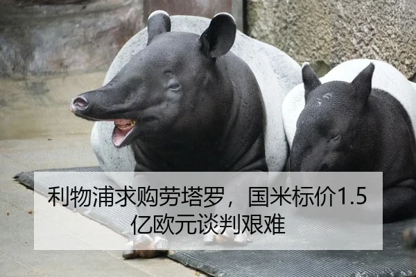 利物浦求购劳塔罗，国米标价1.5亿欧元谈判艰难