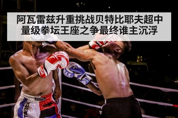 boxer training gloves