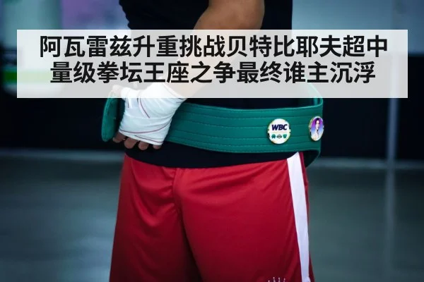 boxing championship belt