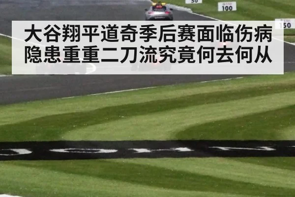 大谷翔平道奇季后赛面临伤病隐患重重二刀流究竟何去何从