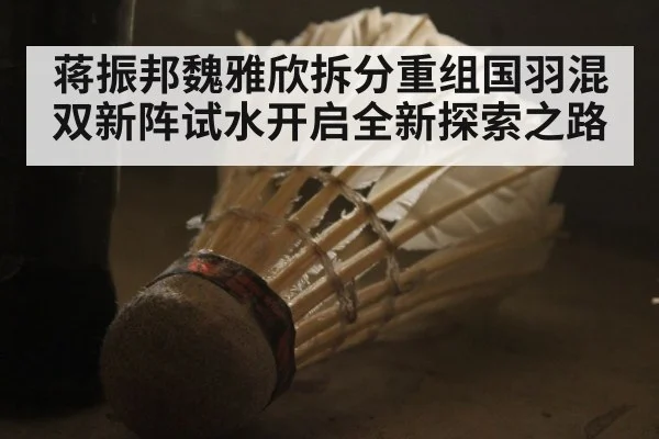 蒋振邦魏雅欣拆分重组国羽混双新阵试水开启全新探索之路